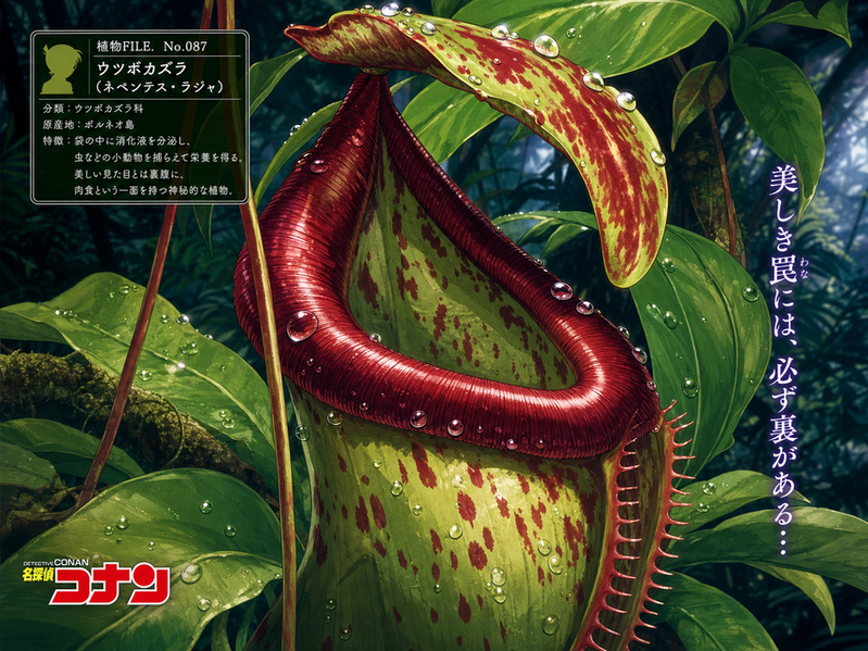 抖阴